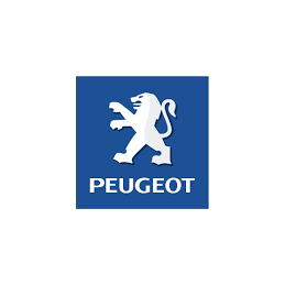 Bougie de Prechauffage Peugeot 206 Diesel 1.9L : Carrogreen